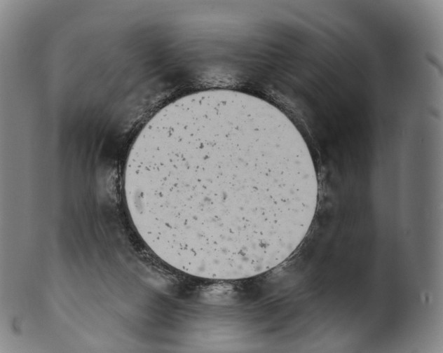 X0000099960162200806061614