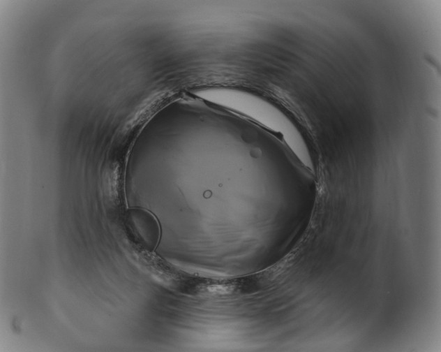 X0000099960163200806061614