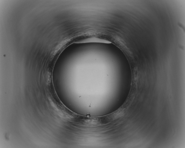 X0000099960164200806061614