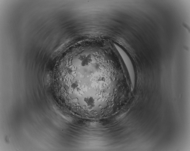 X0000099960165200806061614