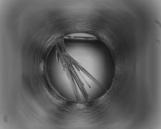 X0000099960166200806061614