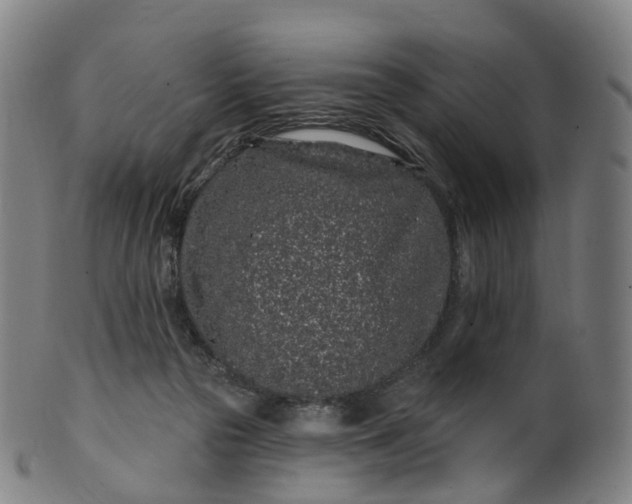 X0000099960169200806061614