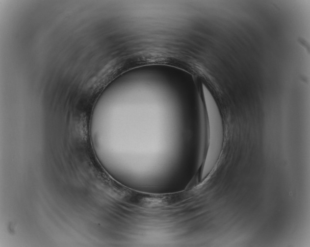 X0000099960170200806061614