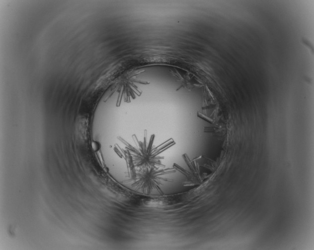 X0000099960171200806061614