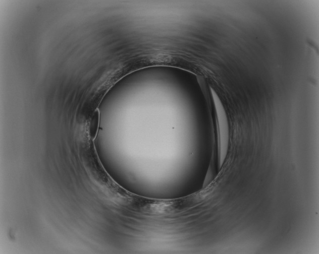 X0000099960172200806061614