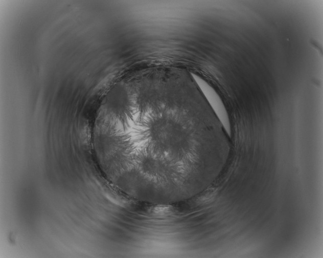 X0000099960173200806061614