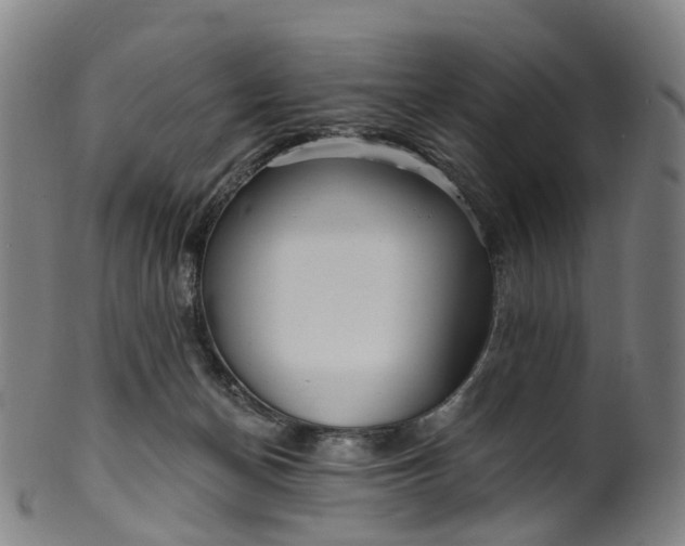 X0000099960174200806061614