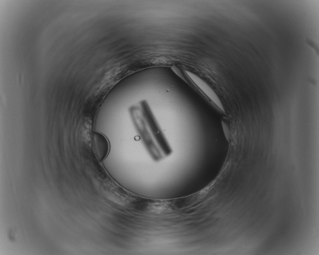 X0000099960175200806061614