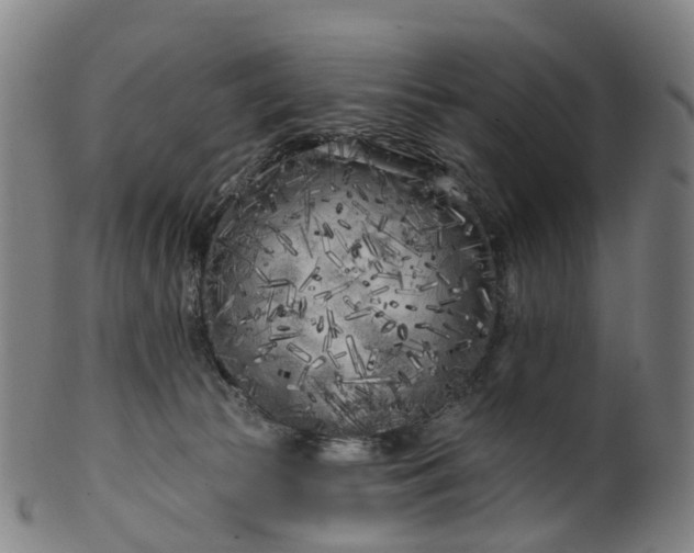 X0000099960177200806061614