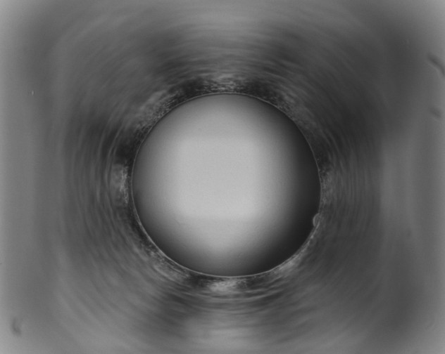 X0000099960178200806061614