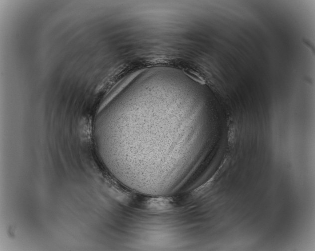 X0000099960179200806061614