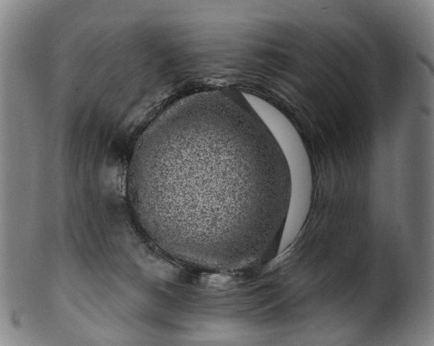 X0000099960180200806061614