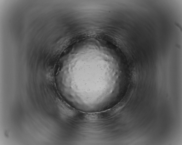 X0000099960181200806061614
