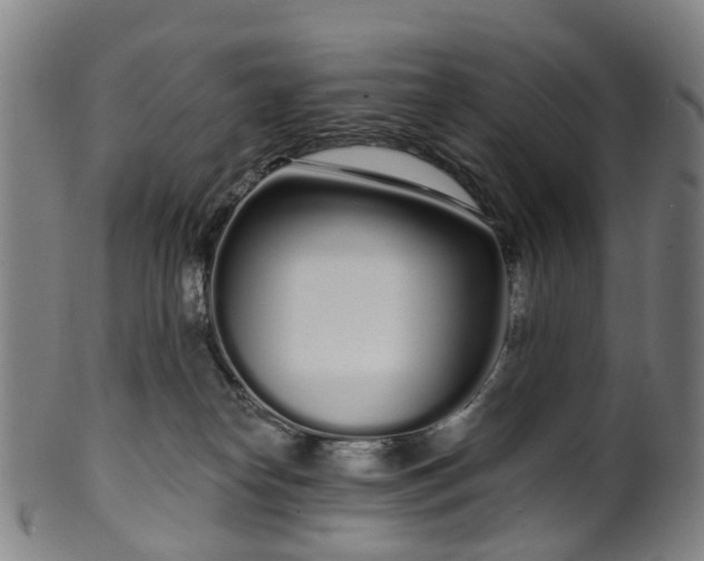 X0000099960182200806061614