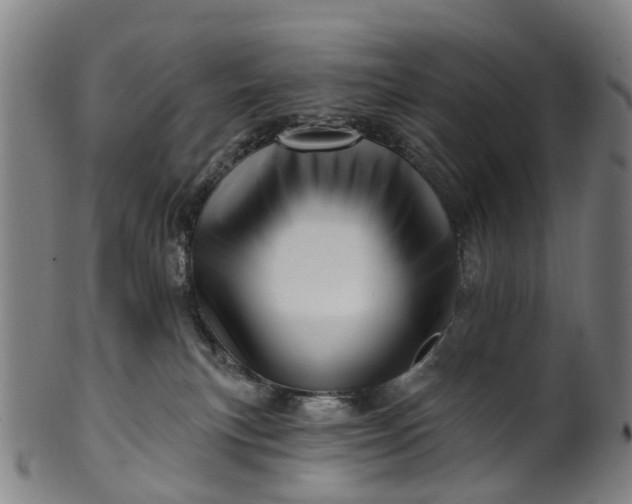 X0000099960183200806061614