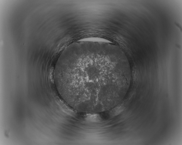 X0000099960185200806061614