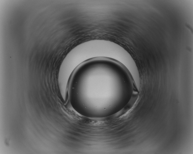 X0000099960186200806061614