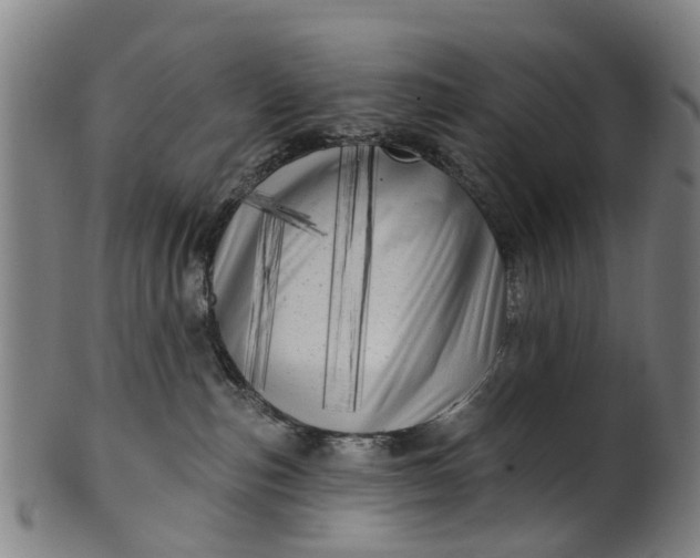 X0000099960187200806061614