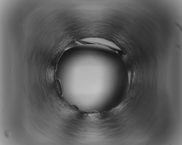 X0000099960188200806061614