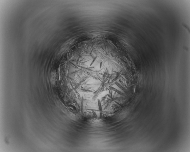 X0000099960189200806061614