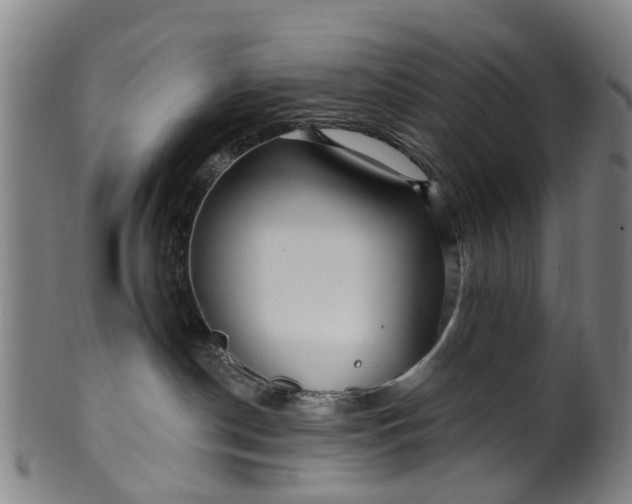 X0000099960190200806061614
