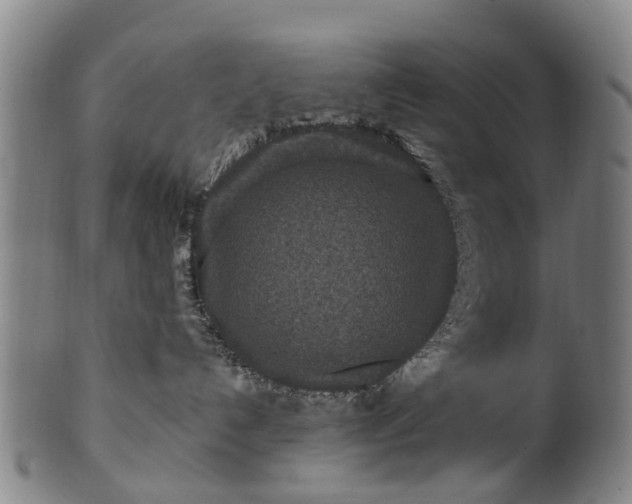 X0000099960192200806061614