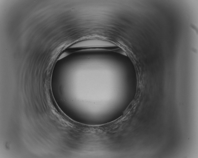 X0000099960193200806061614