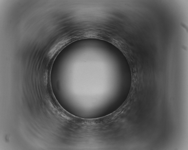 X0000099960194200806061614
