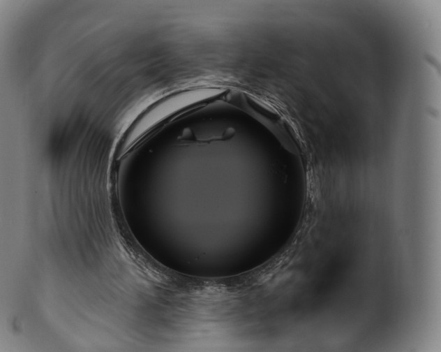 X0000099960196200806061614