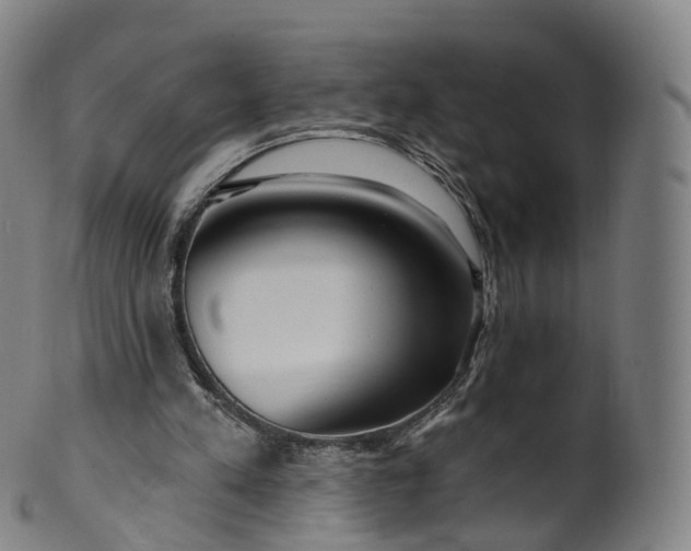 X0000099960197200806061614