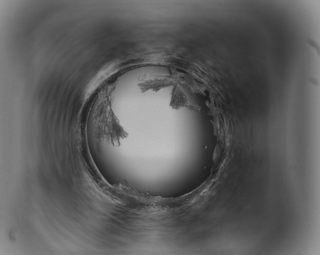 X0000099960198200806061614