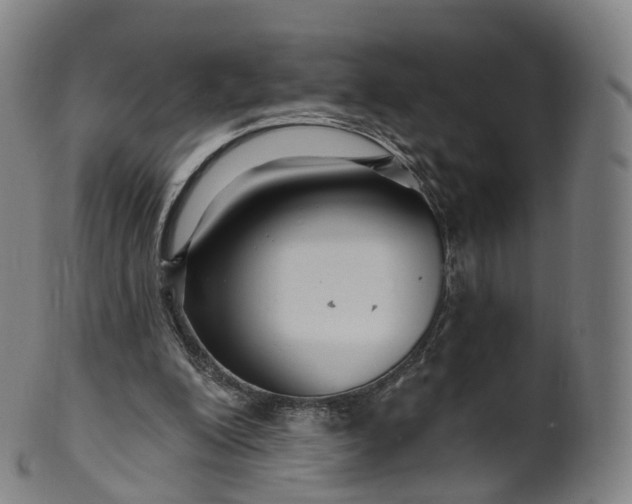 X0000099960200200806061614
