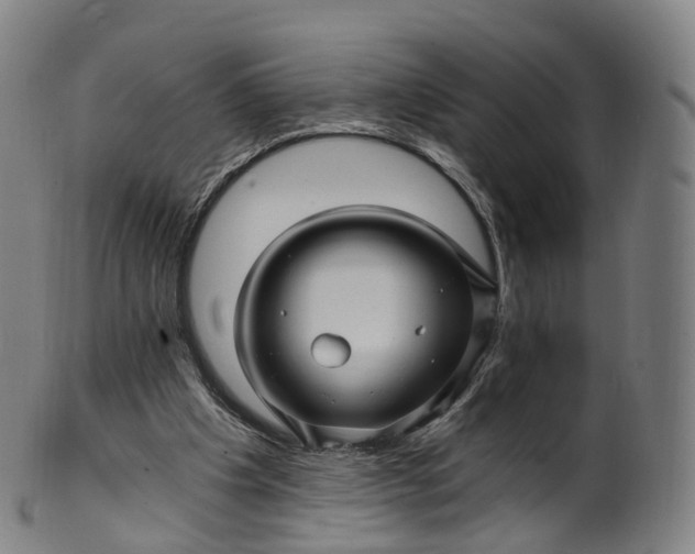 X0000099960201200806061614