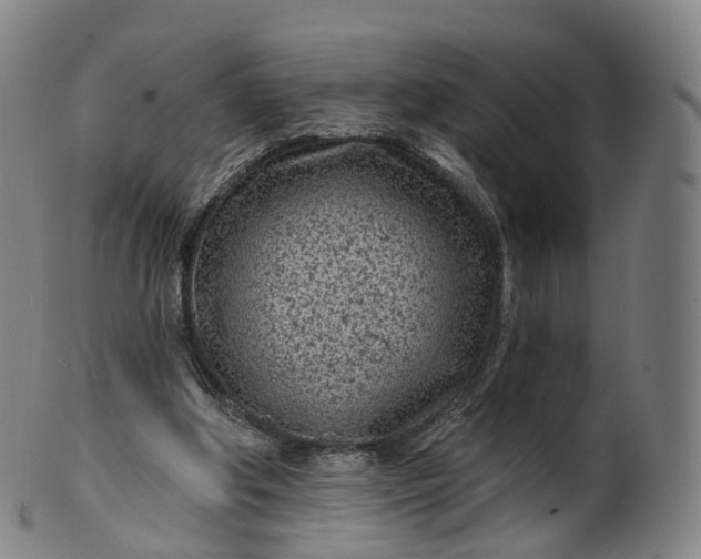 X0000099960202200806061614