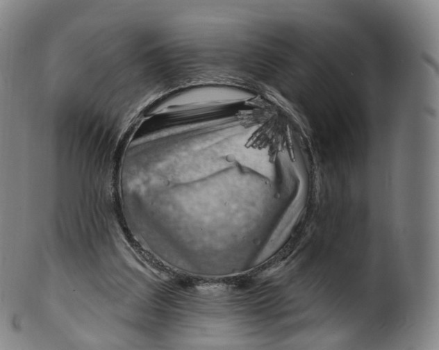 X0000099960203200806061614
