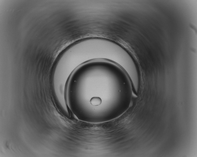 X0000099960204200806061614