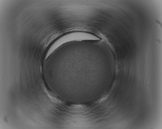 X0000099960205200806061613