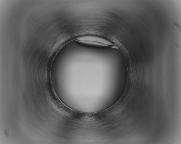 X0000099960207200806061613