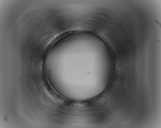 X0000099960208200806061613