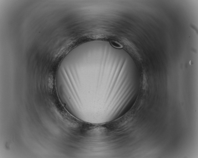 X0000099960210200806061613