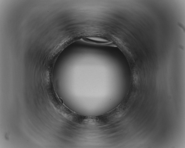 X0000099960211200806061613