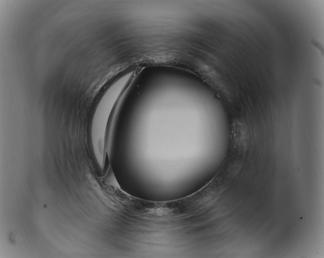 X0000099960212200806061613