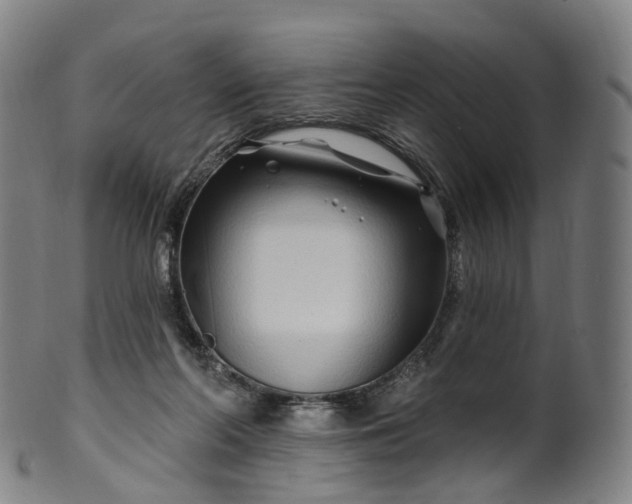 X0000099960214200806061613
