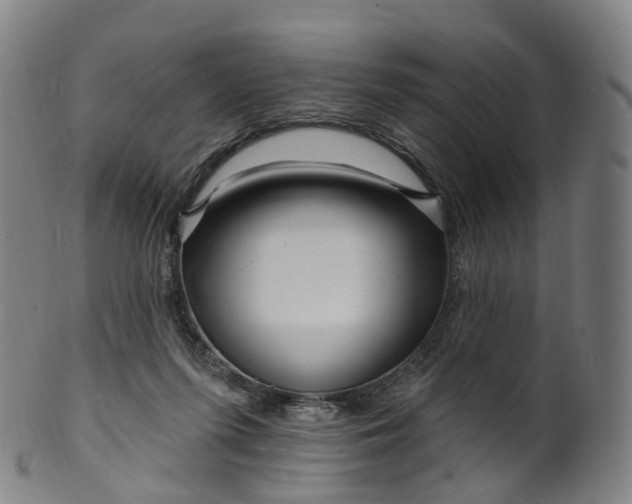 X0000099960215200806061613