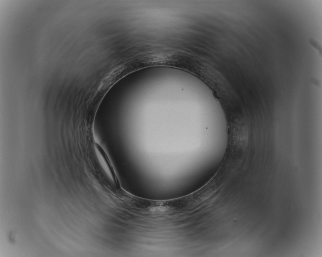 X0000099960216200806061613