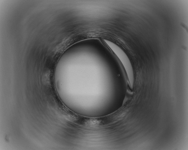 X0000099960217200806061613