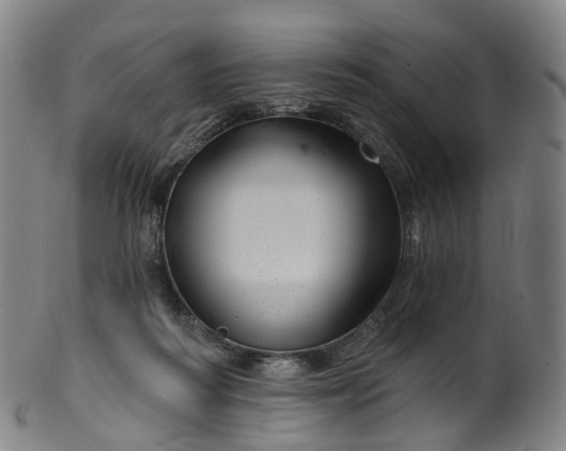 X0000099960218200806061613