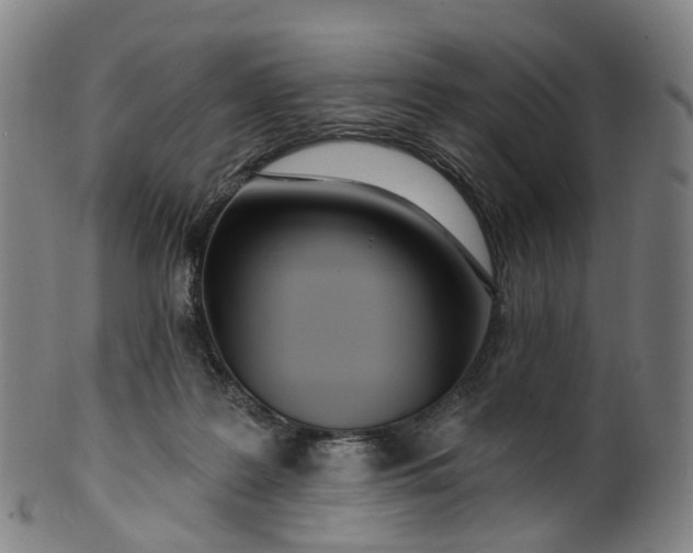 X0000099960219200806061613