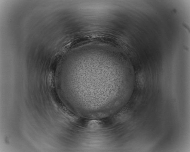 X0000099960222200806061613