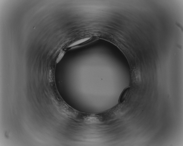 X0000099960224200806061613
